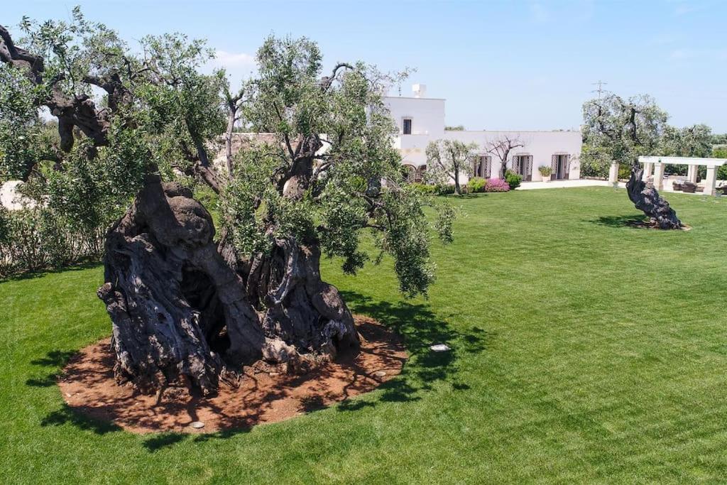 Masseria Il Frantoio By Raro Villas Ostuni Exterior foto